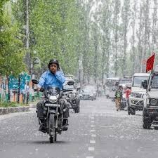Pollen Pollution Leaves Kashmiris Struggling with Allergies